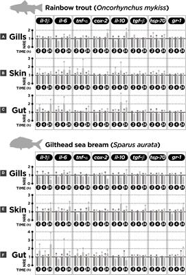 The Direct Exposure of Cortisol Does Not Modulate the Expression of Immune-Related Genes on Tissue Explants of Mucosal Surfaces in Rainbow Trout (Oncorhynchus mykiss) Nor in Gilthead Sea Bream (Sparus aurata)